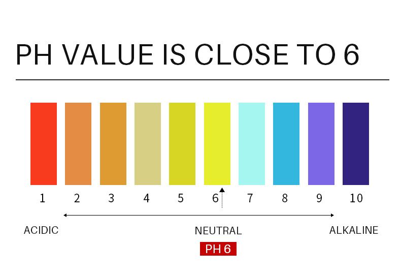 3pcs/set Turmeric Face Care Sets Facial Acne Cleansing Cream Anti-Aging Serum Remover Dark Spots Whitening Facial Oils Skin Care - JM Variety Store