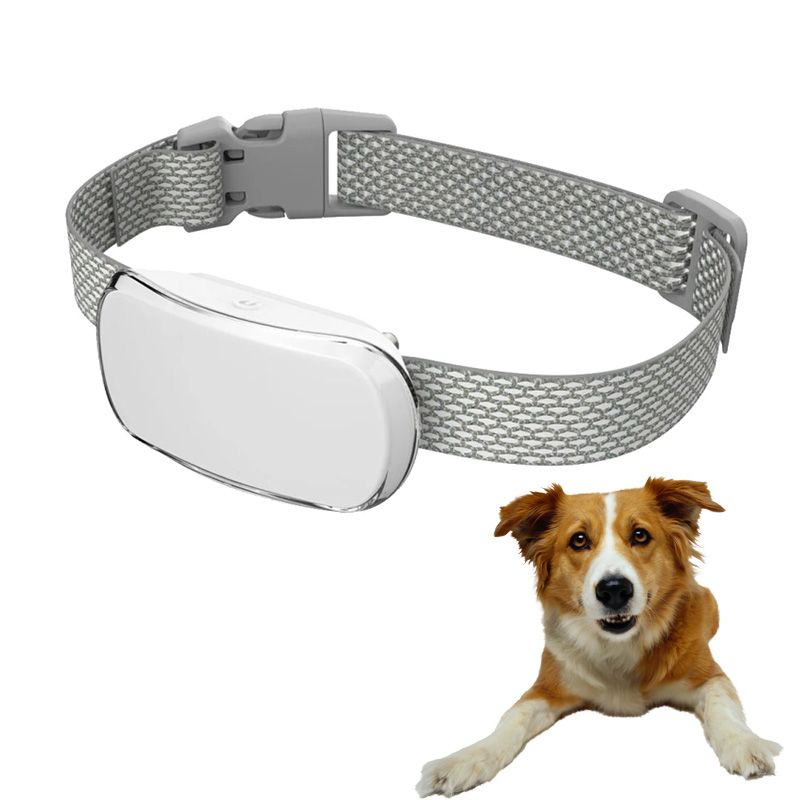 Adjustable Training Device Bark Collar for Large Medium and Small Dogs - JM Variety Store