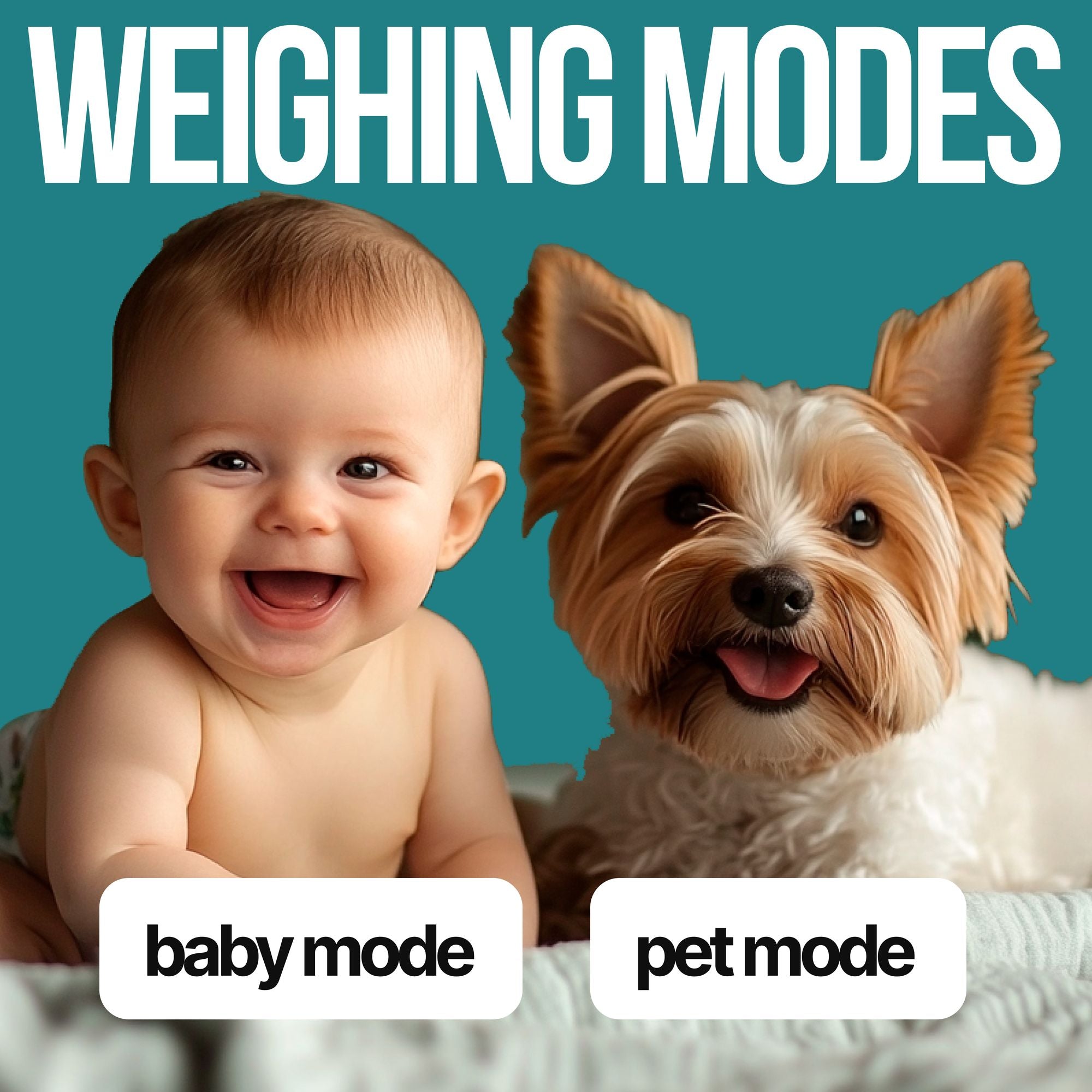 Digital Bathroom Scale for Body Weight EziGo Large Platform 12 inch 30cm, High Capacity 440lb 200kg, Accurate Scale for Adults, Elderly, Seniors, Pets, and Babies - JM Variety Store