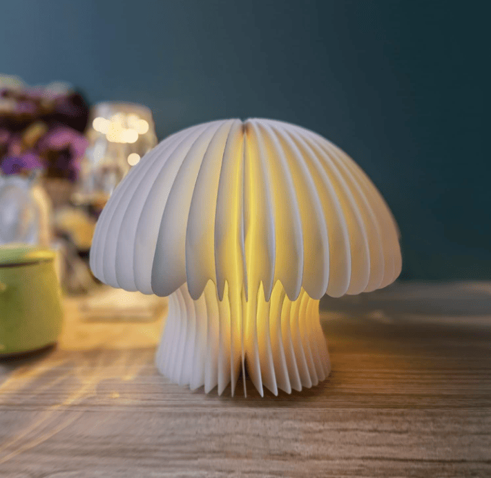 Valentines Day gift, Mushroom night light gift for her - JM Variety Store