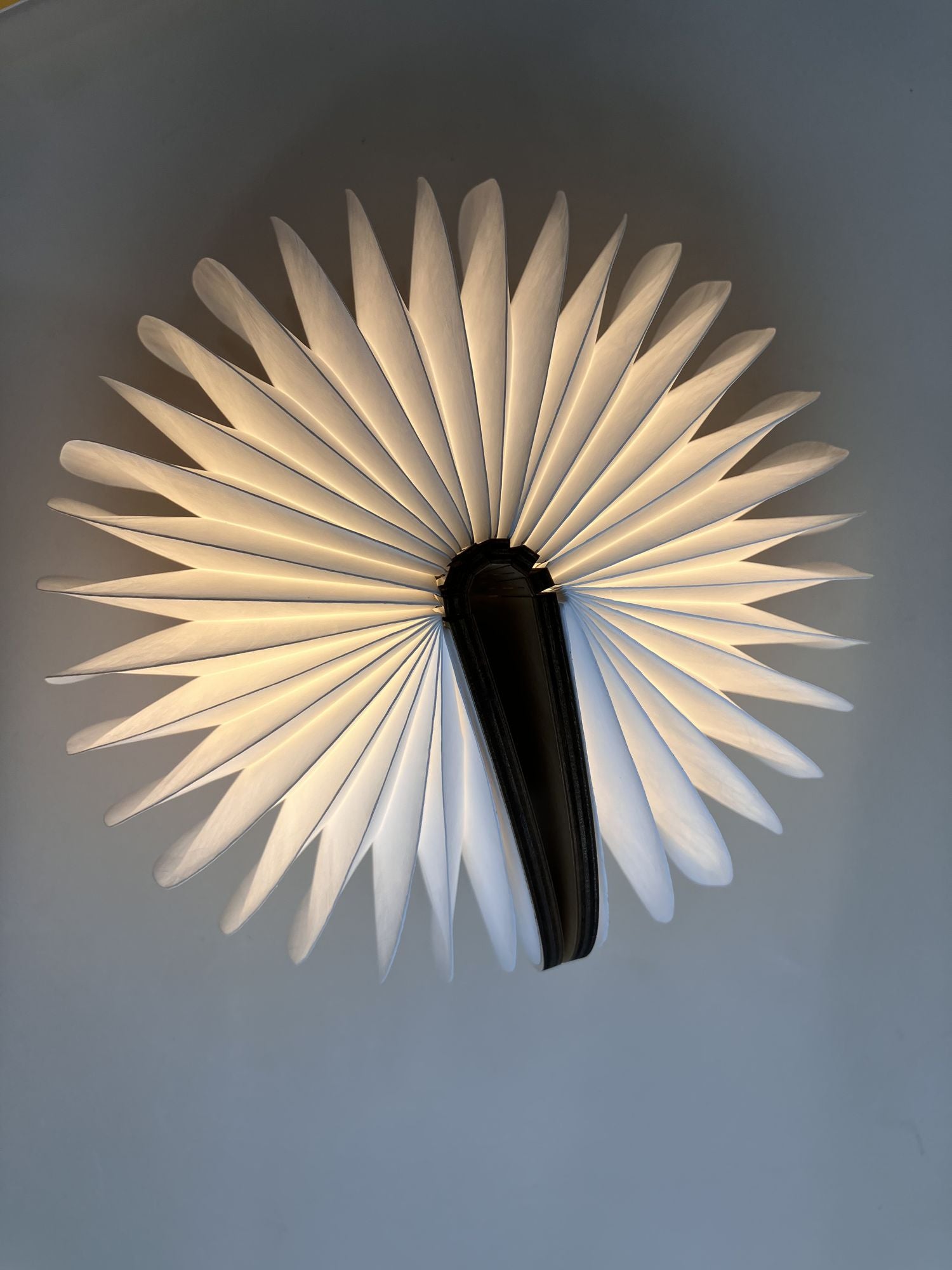 Valentines Day gift, Mushroom night light gift for her - JM Variety Store